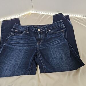 Jennifer Lopez Boyfriend Jeans Dark‎ Wash, 4 Petite RN#73277 Euc